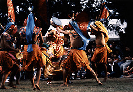 '89�X�[�_�����ʕ��x