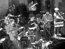 �V�J�����[�^