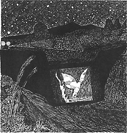 ���w����