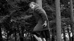 �X���B�G�^���[�i�E�i�C�f�m���@