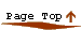 pagetop